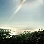 Ijsselmeer بيت للعطل