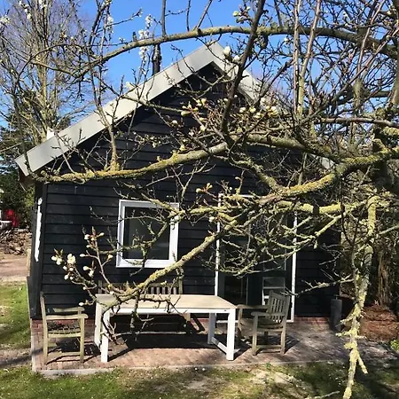 Ijsselmeer Ferienhaus *