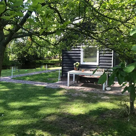 Ijsselmeer Holiday home *