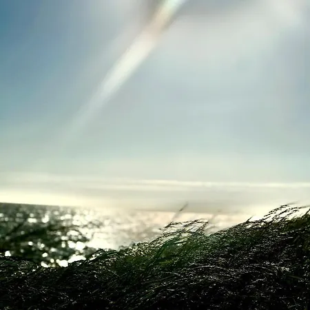 Ijsselmeer بيت للعطل
