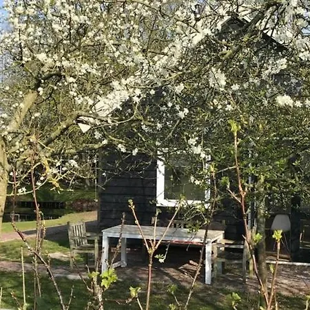 Ferienhaus Ijsselmeer