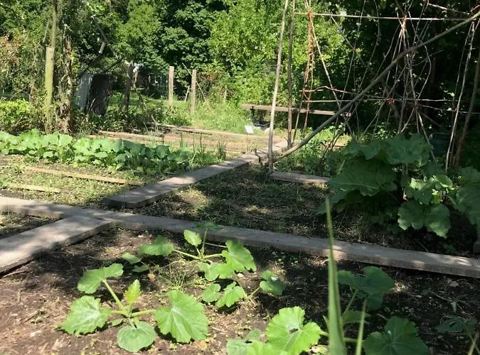 Casa vacanze Ijsselmeer *