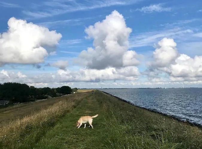 Ijsselmeer * Andijk