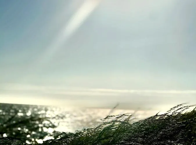 Ijsselmeer Casa vacanze